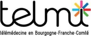 logo-telmi